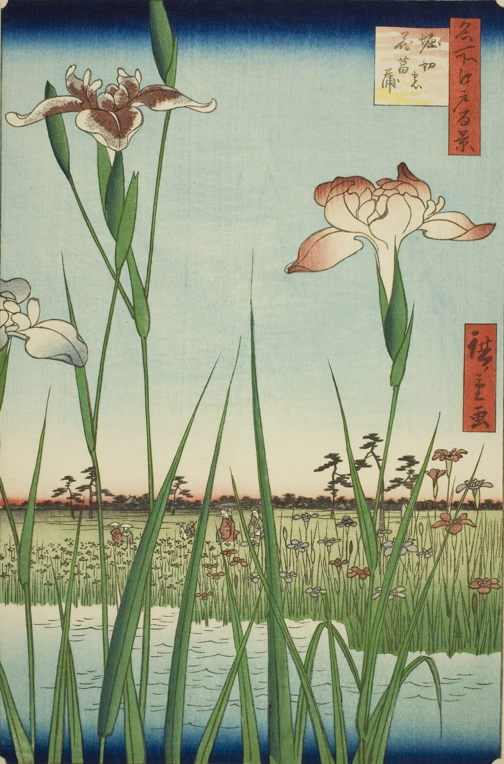 Utagawa Hiroshige　 One Hundred Famous Views of Edo　Summer　Irises of Horikiri　
